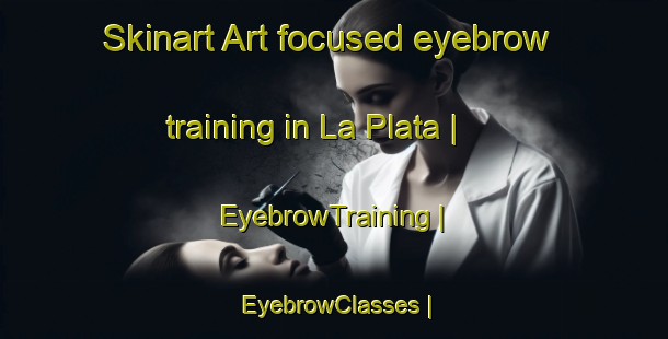 Skinart Art-focused eyebrow training in La Plata | EyebrowTraining | EyebrowClasses | SkinartTraining-Mexico